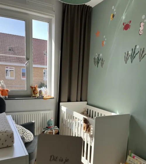 Zeester behangsticker babykamer