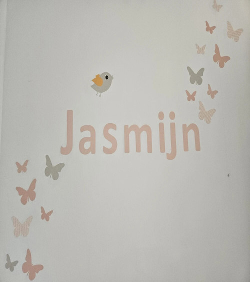 Naamletters roze met vlinders meisjeskamer.