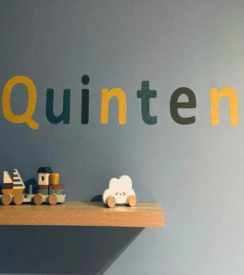 Naamletters roze met vlinders meisjeskamer.