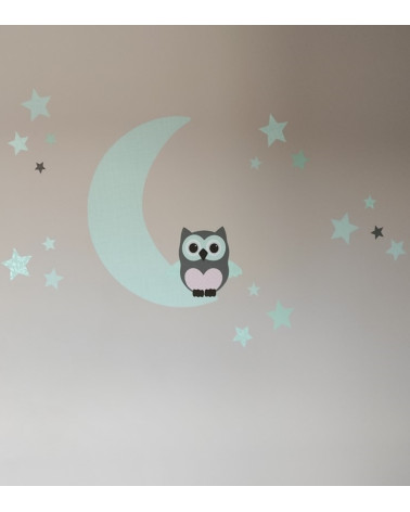Behangsticker babykamer uil op de maan mintgroen en roze.